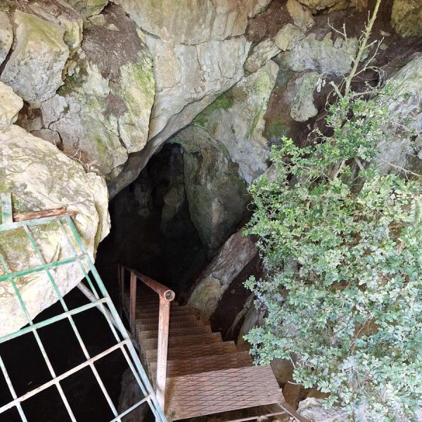 entrada coves